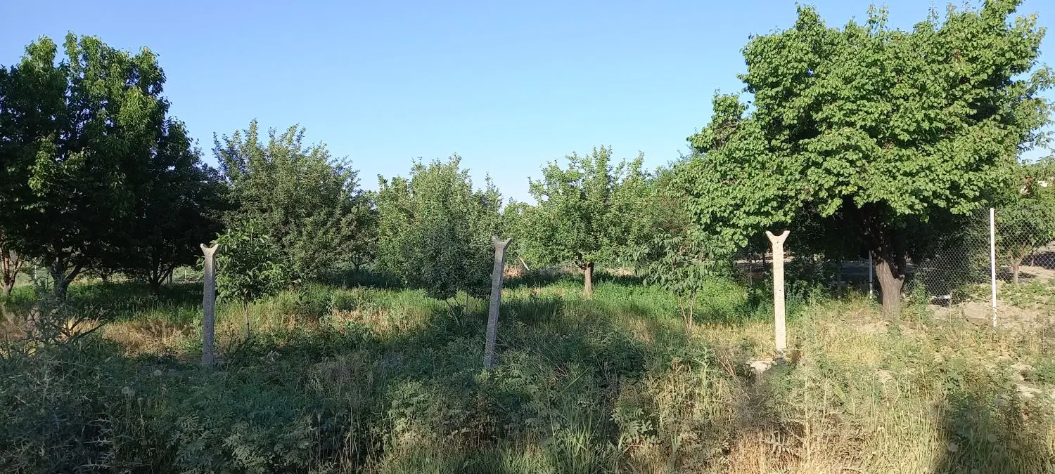 ۷۰۰ متر باخچه در عیسی لوی حیدرلو