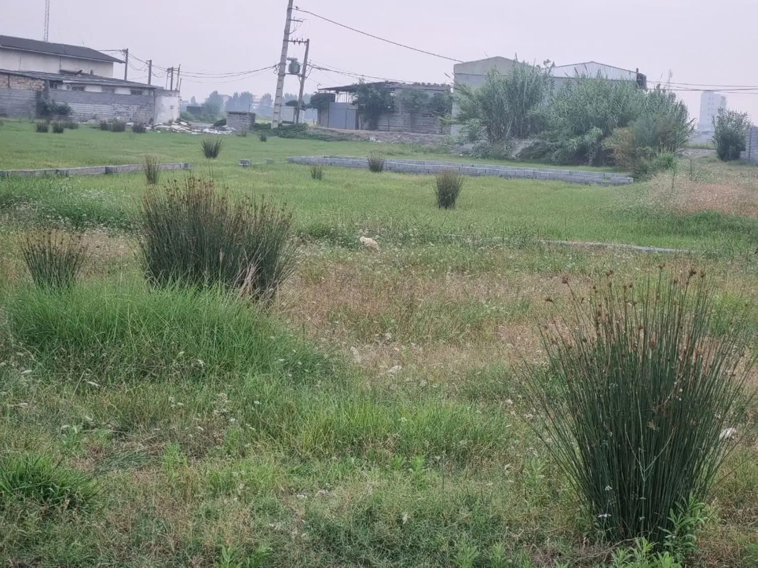 فروش زمین موزیرج ارشاد ۲۰