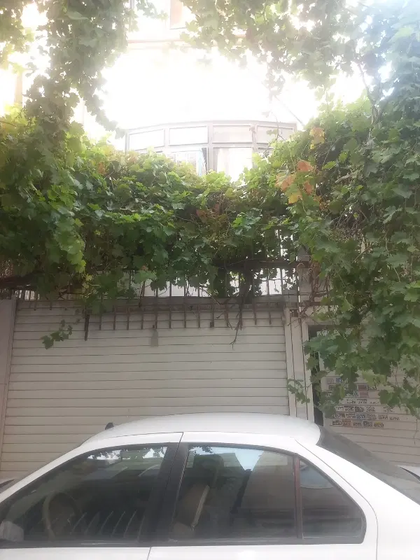 رهن و اجاره آپارتمان ۷۰ متری ۱ خواب