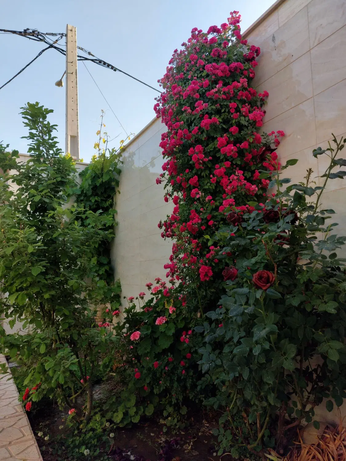 منزل نوساز همکف۲۵۵متر شمالی جنوبی