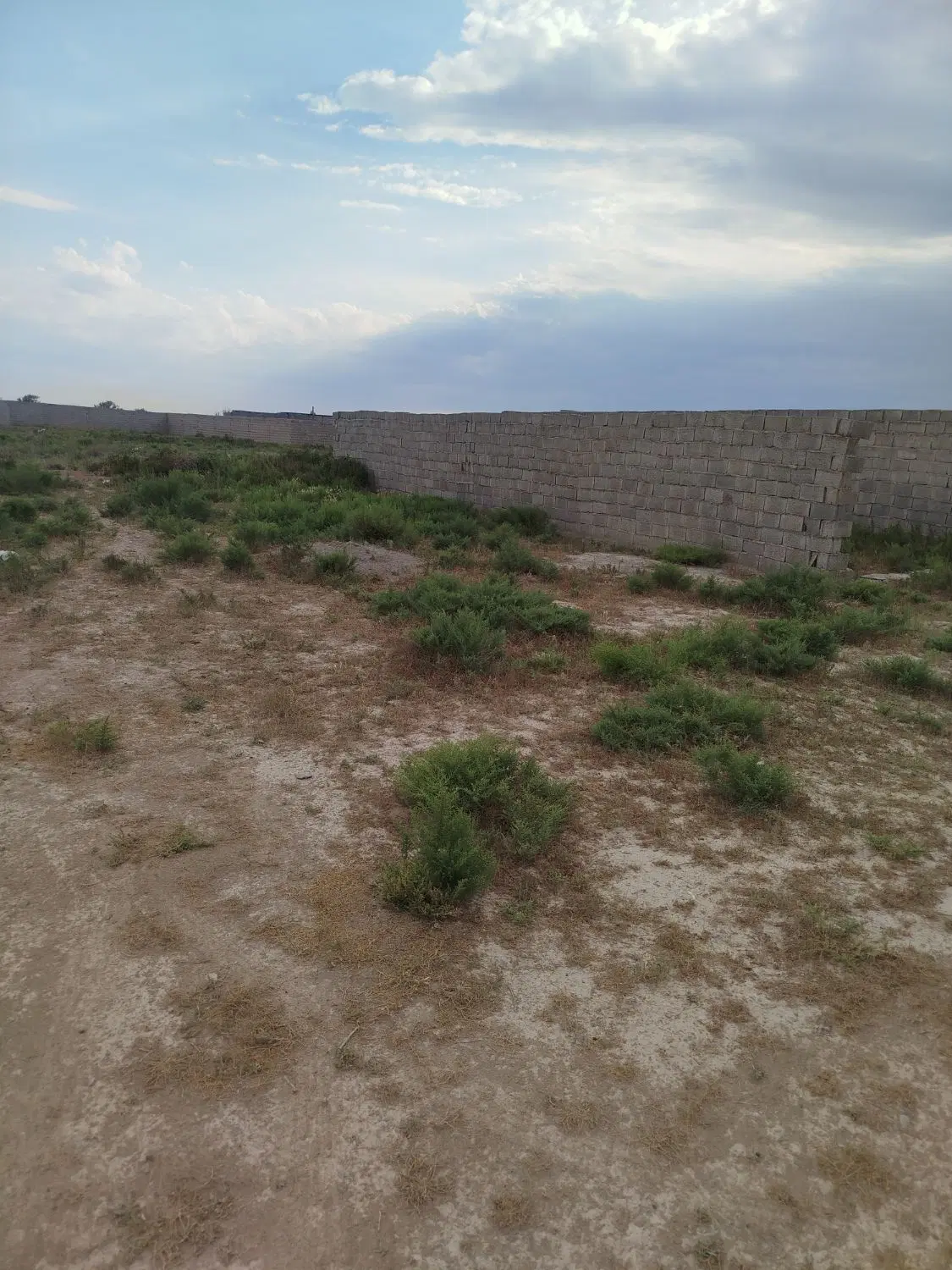 زمین در باغ معروف