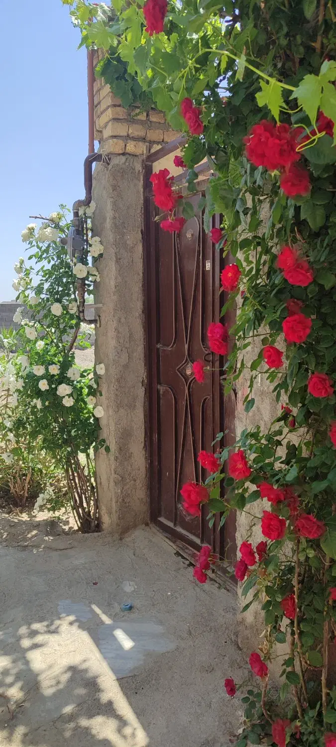 خانه اجاره ای چاهشک