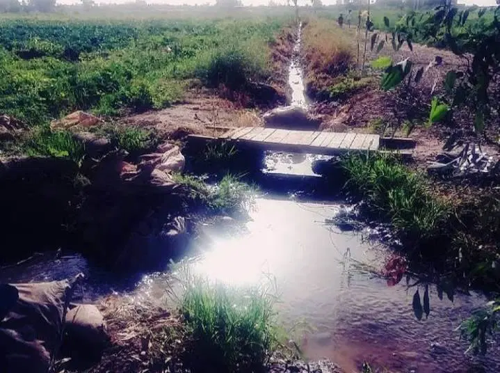۱۴۸۰مترزمین کشاورزی مناسب باغ در جاده خوشبختی