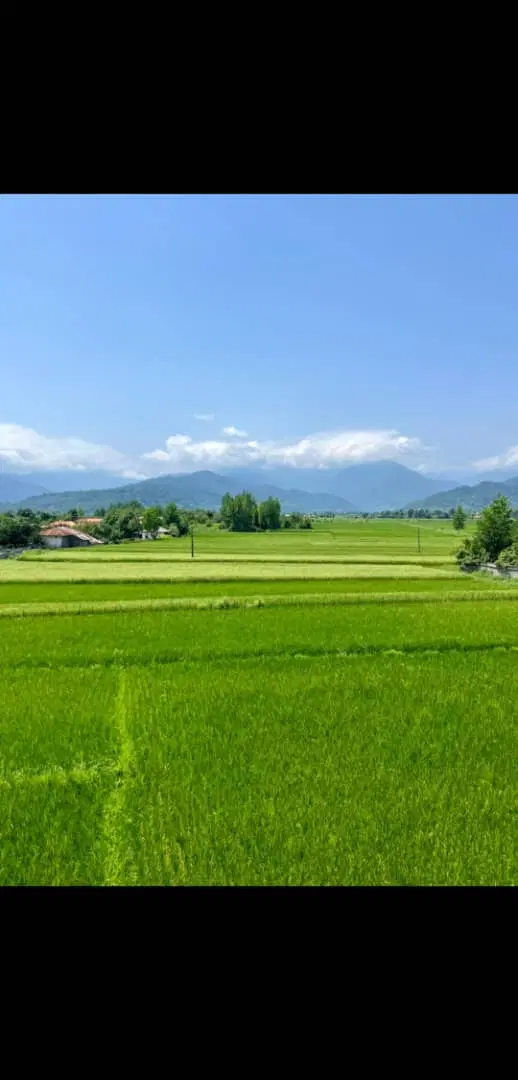 ۶۰۰متر زمین