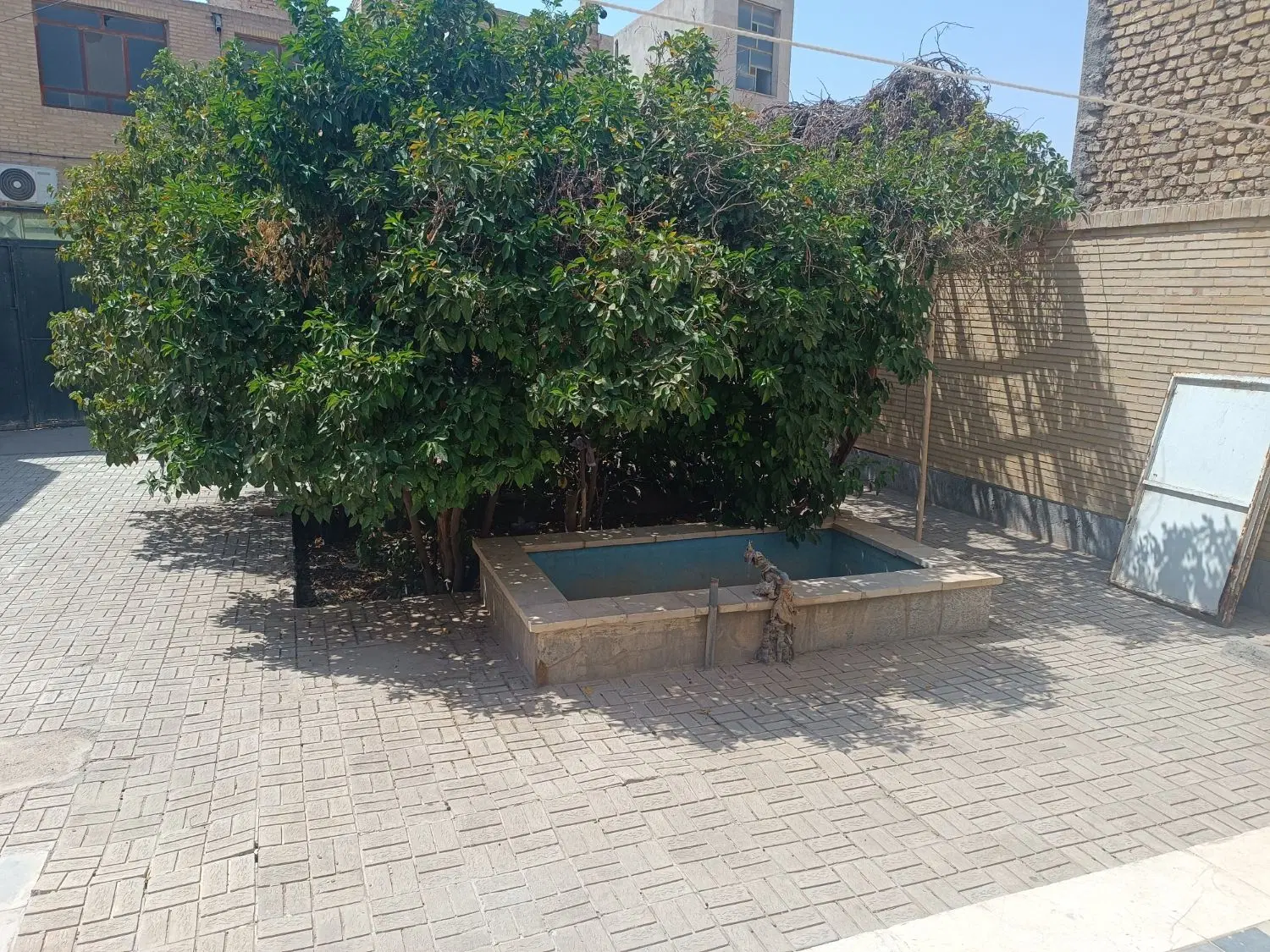 زمین ۱۴۹متری پشت پارک شادی