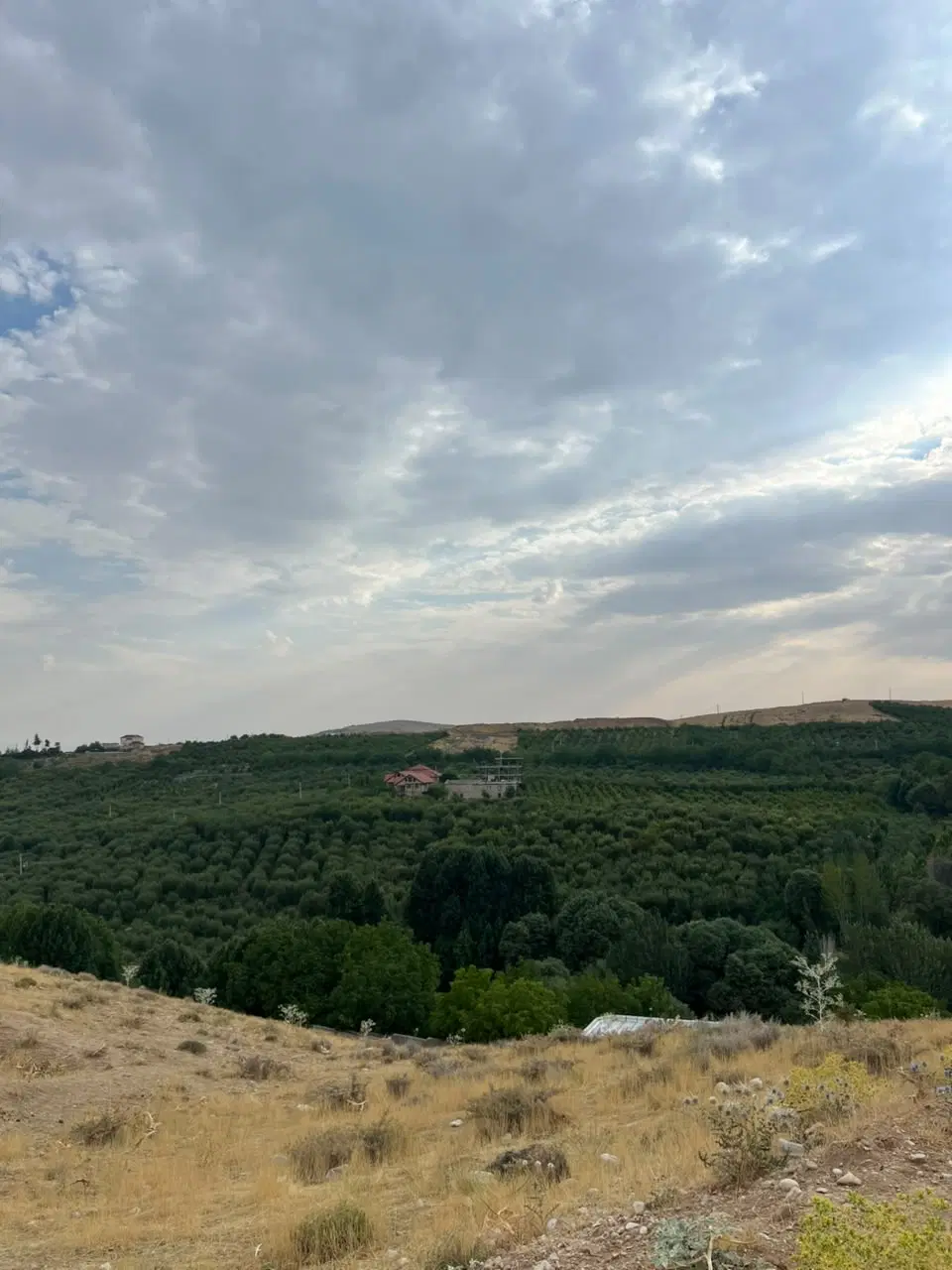 ۱۰۰۰متر زمین باغ ویلایی سپیدان
