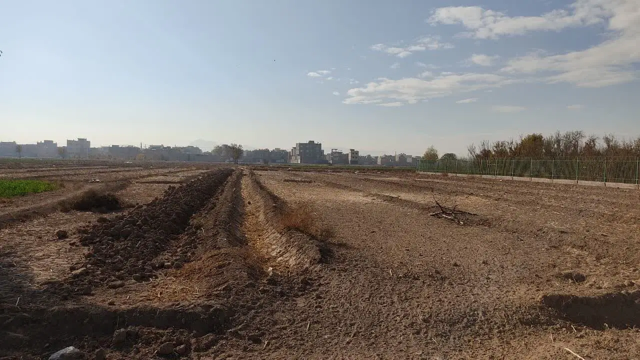 زمین کشاورزی