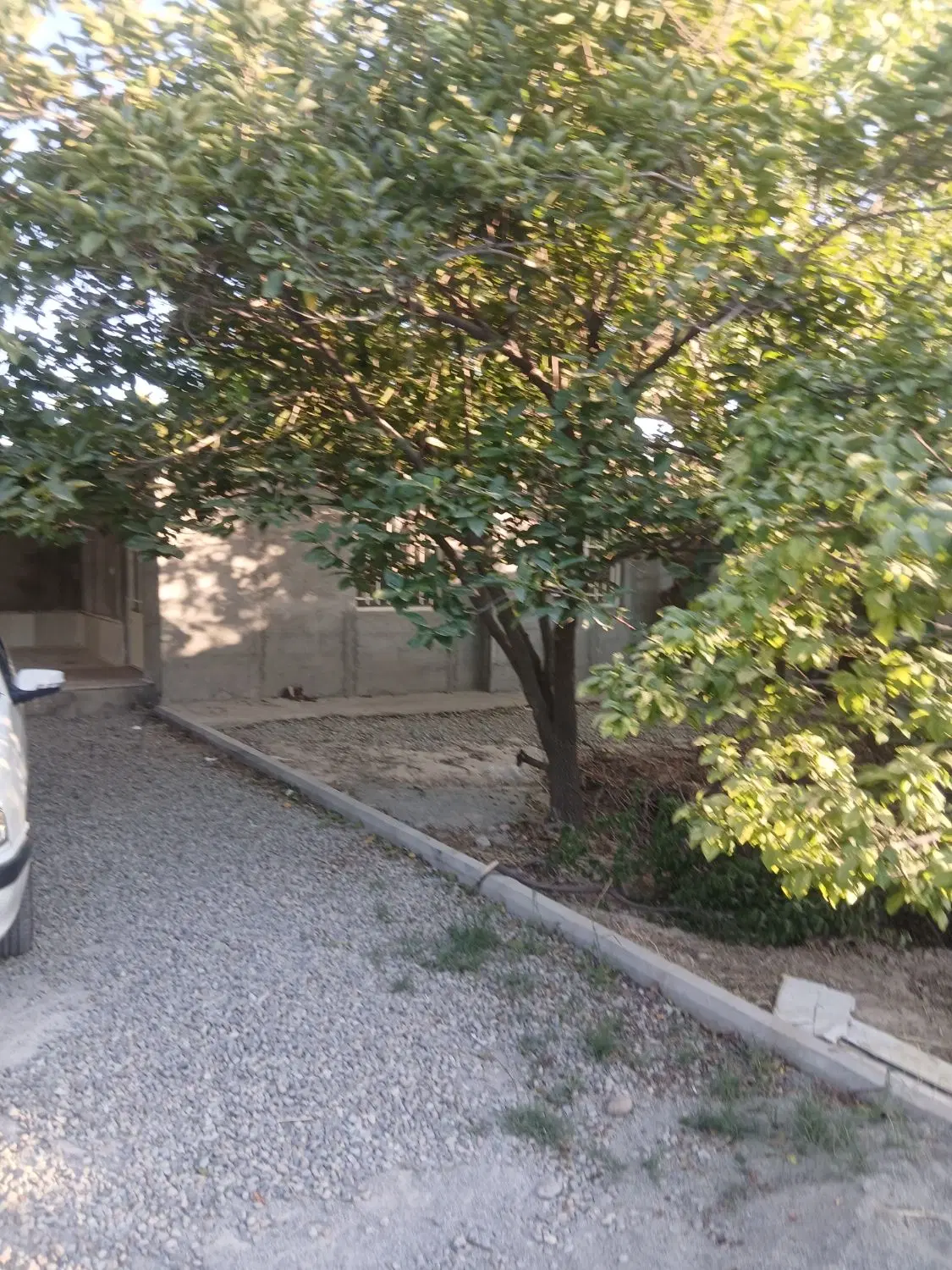 ۱۵۰۰متر باغ سند تک برگ ششدانگ بکه شهریار