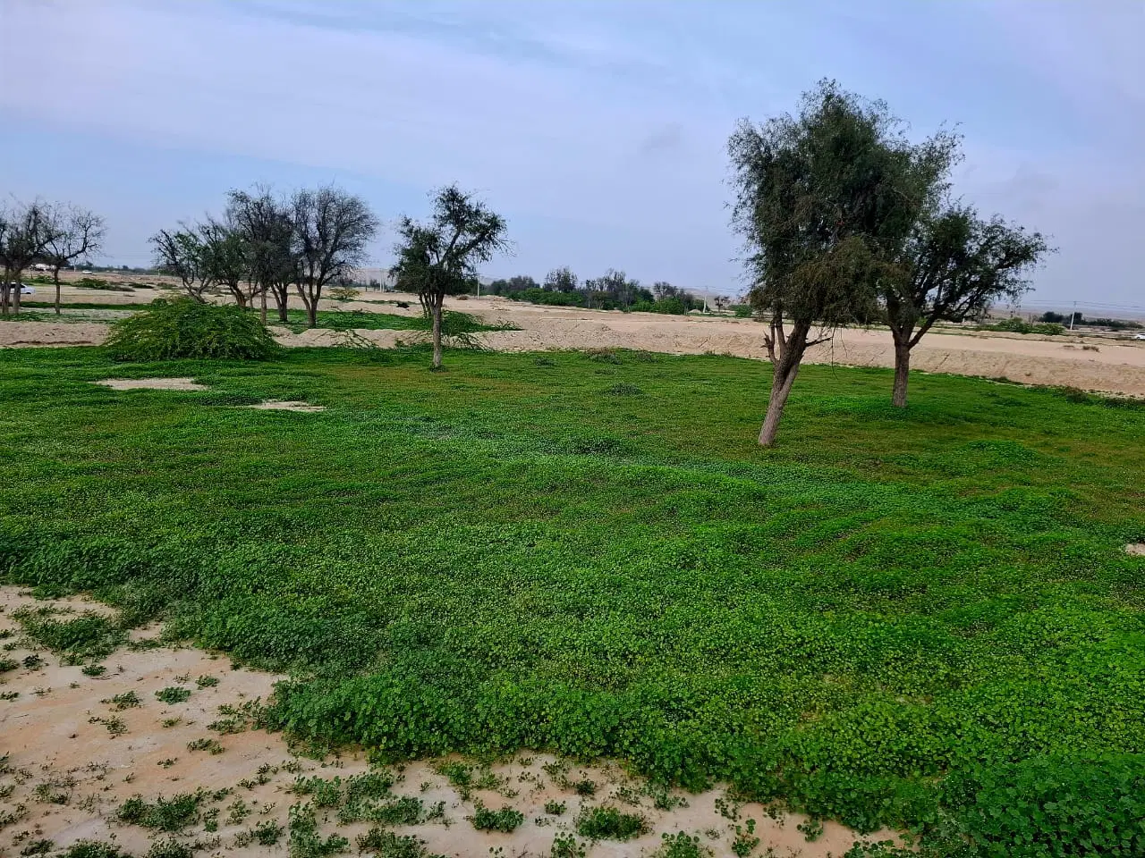 زمین سه بر شهرک زینبی