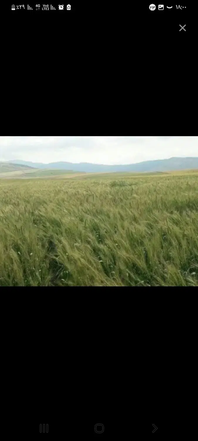 اجاره زمین کشاورزی