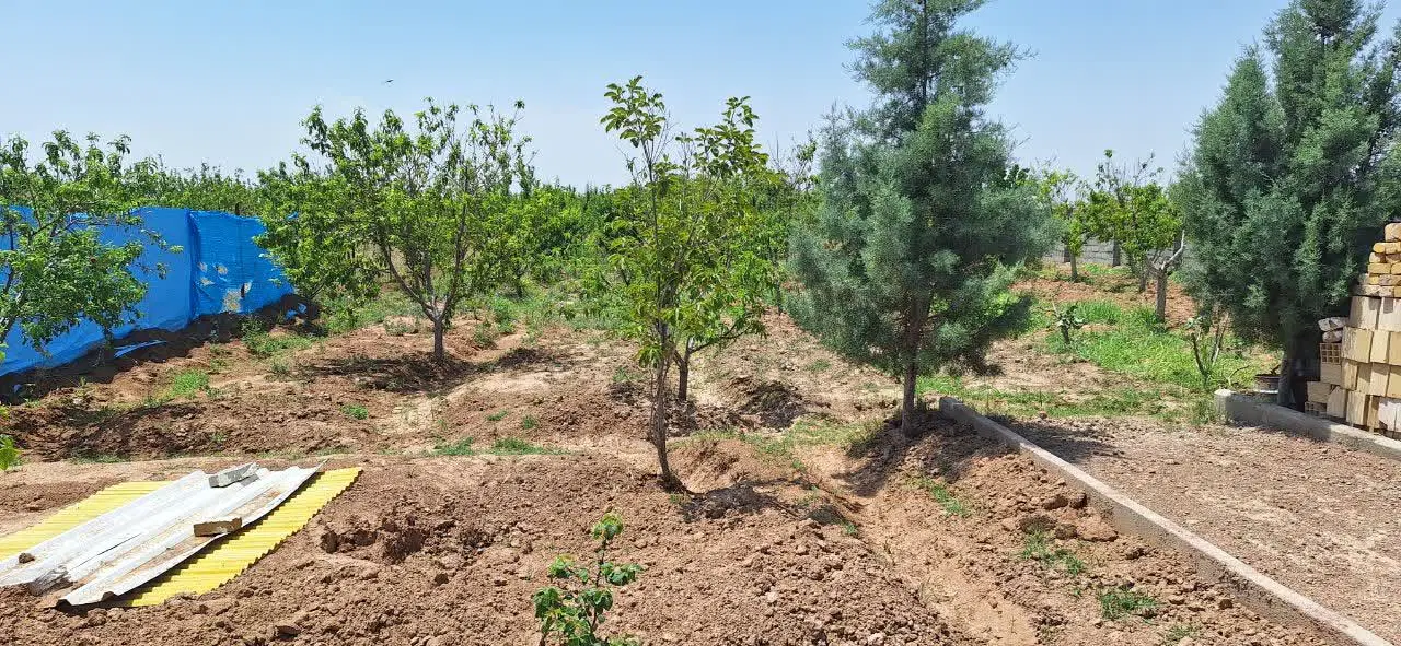 زمین باغی