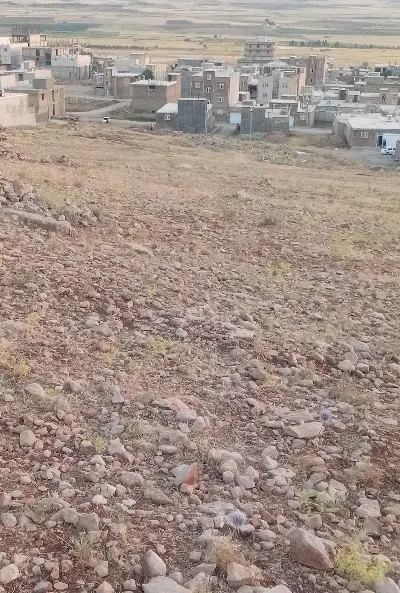 فروش یک قطعه زمین