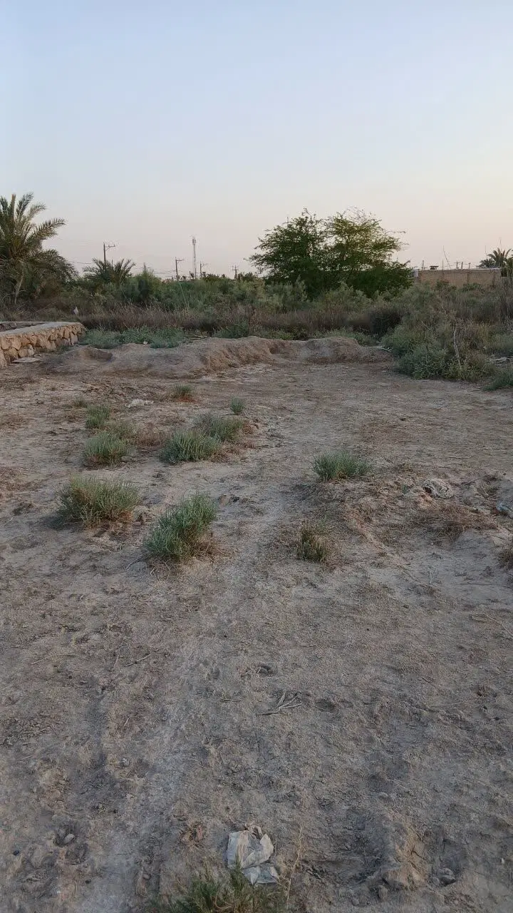 زمین