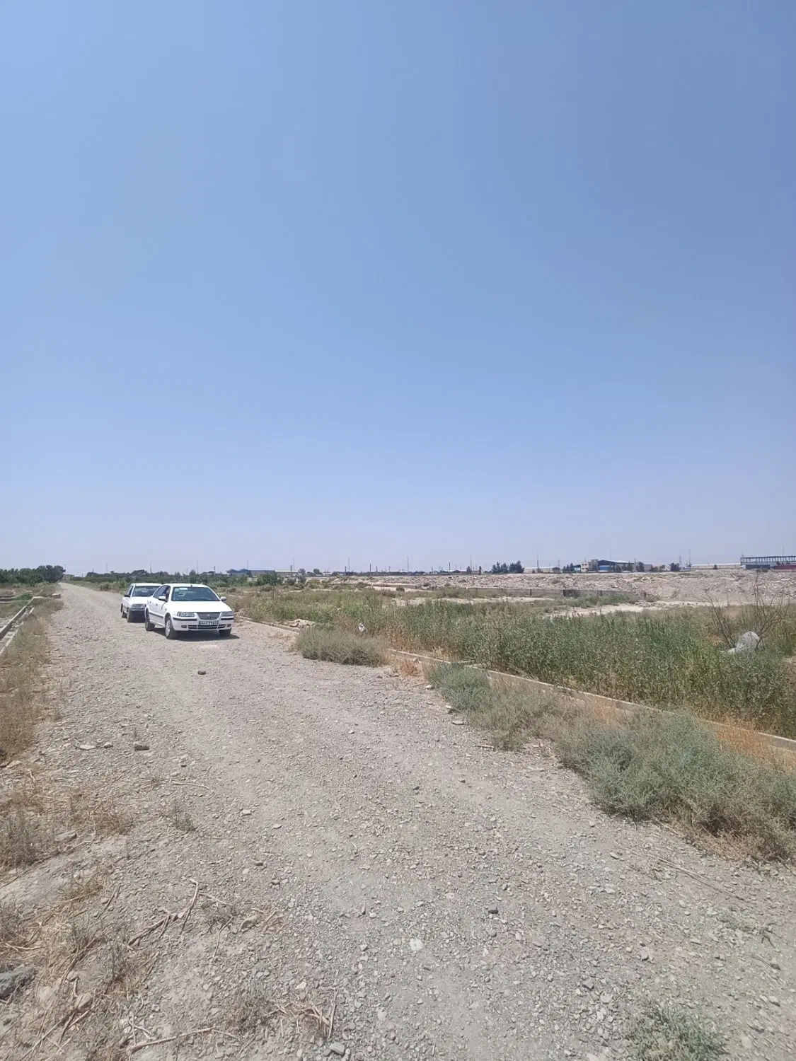 زمین باغی سند دار