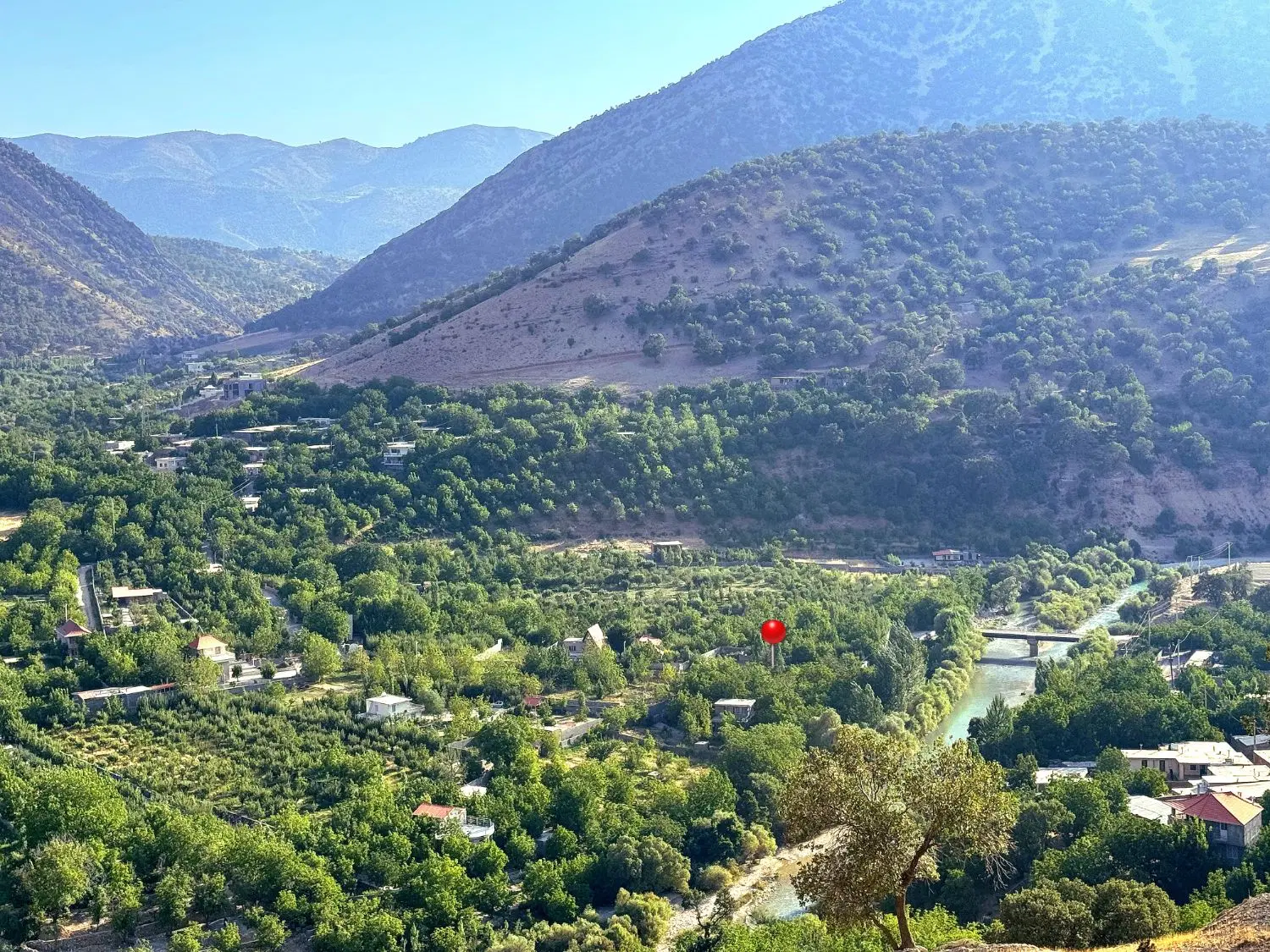 فروش زمین باغی در بهترین لوکیشن قلات یاسوج