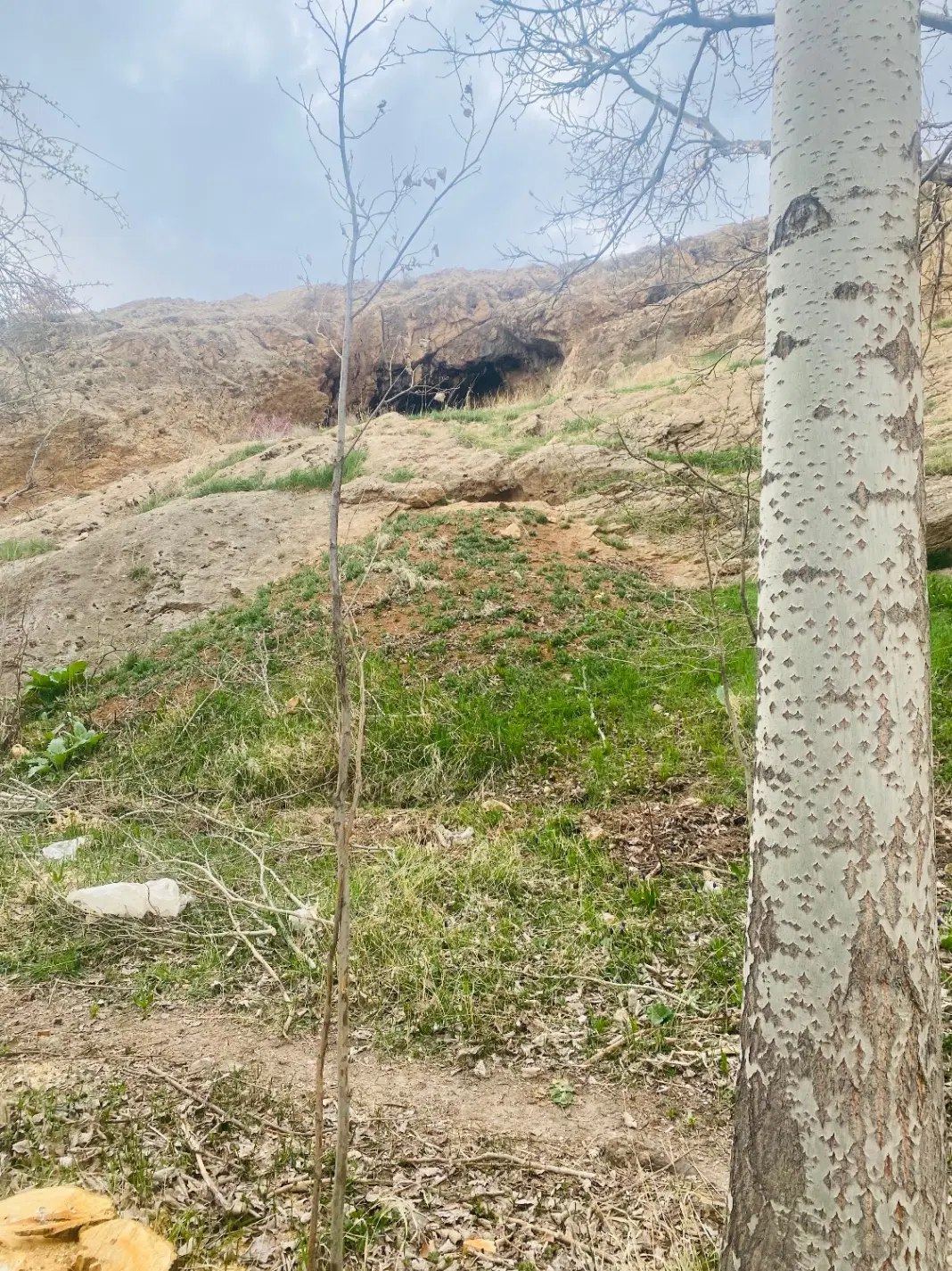 زمین
