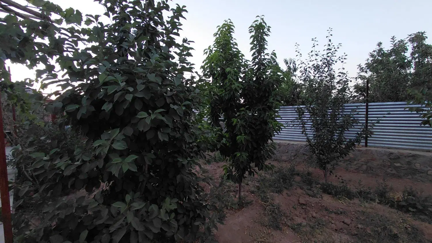 فروش فوری خانه باغ روستای شرب العین