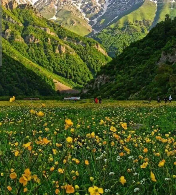 زمین تعاونی دادگستری عالی چنگی گورک فرصتی کم نظیر