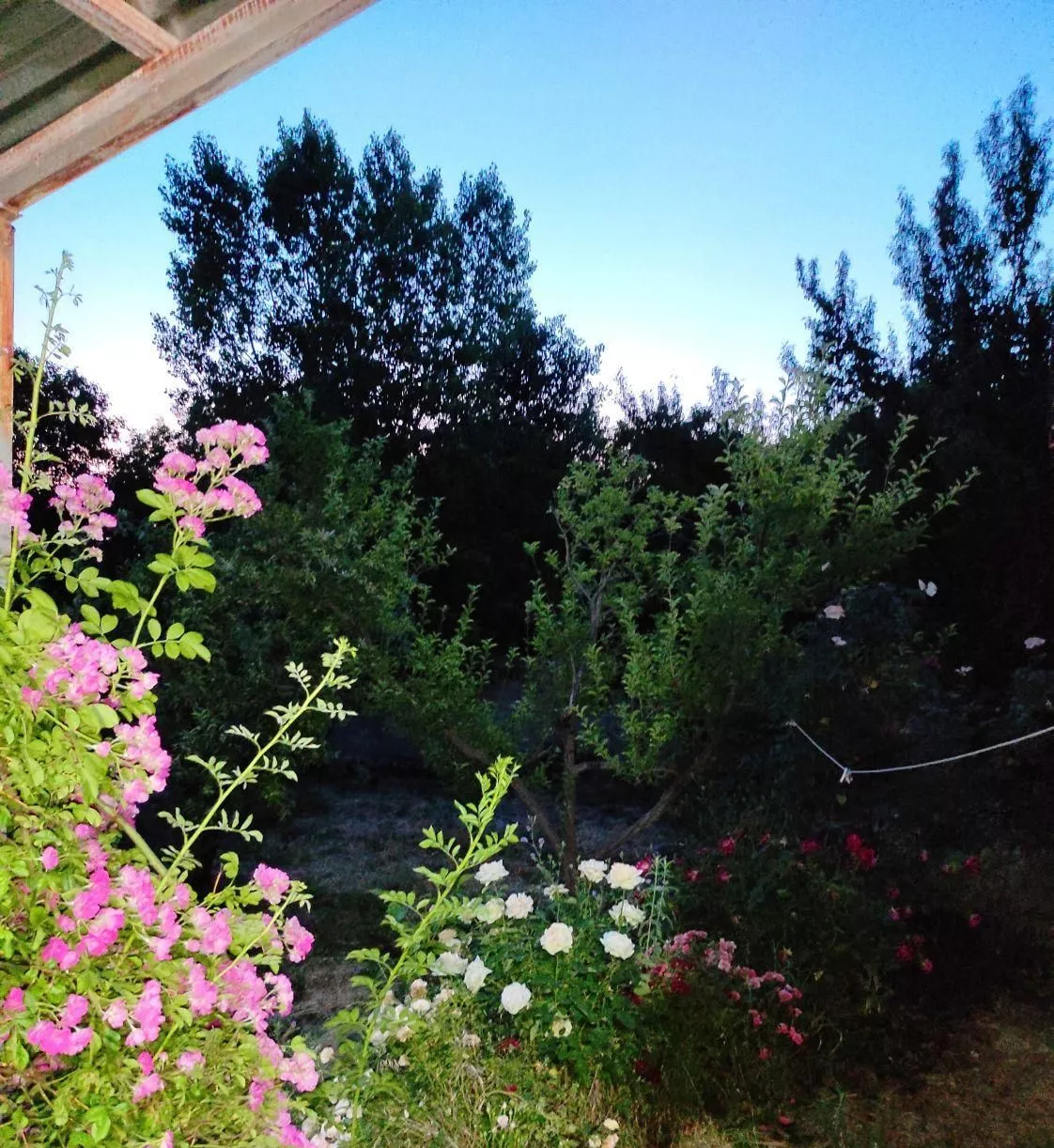 اجاره خانه باغ و سوییت مبله سربست سپیدان