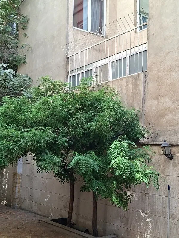 دو خوابه ۸۰ متر خیابان حقوقی