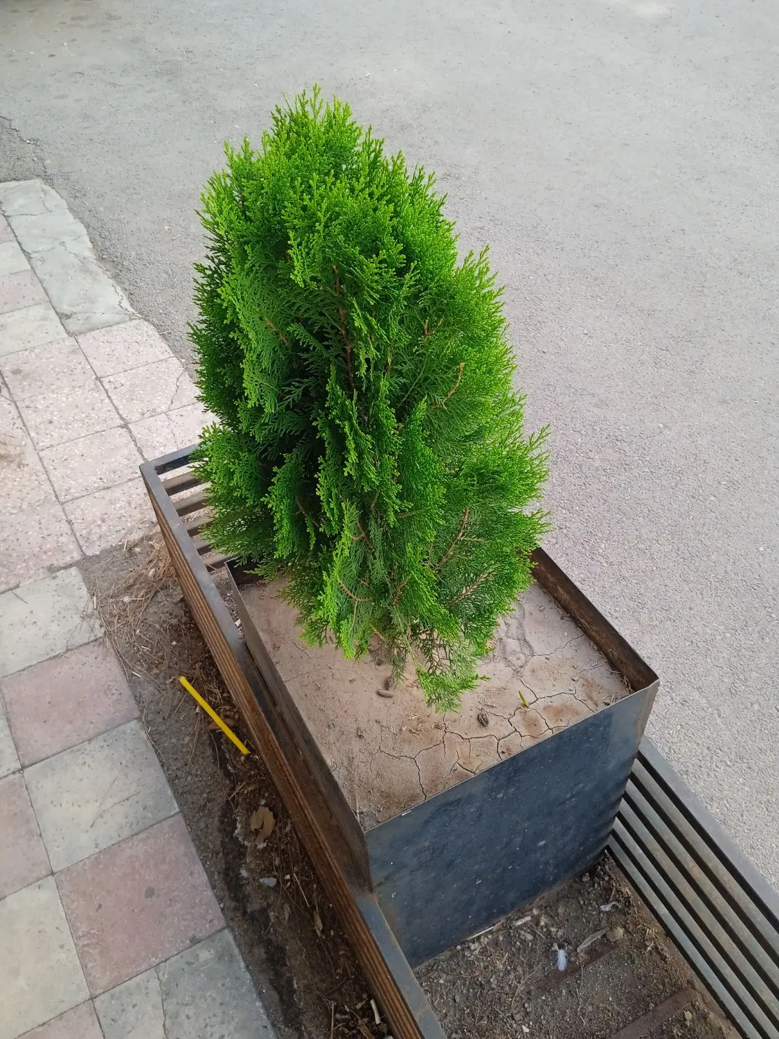 زمین مسکونی