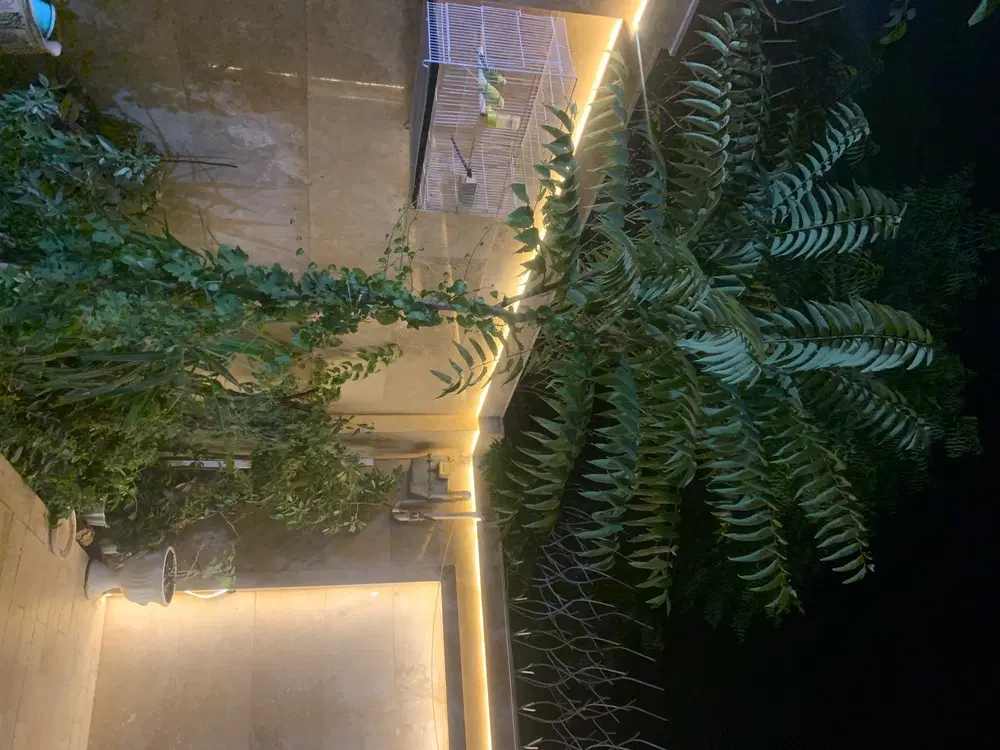 رهن کامل