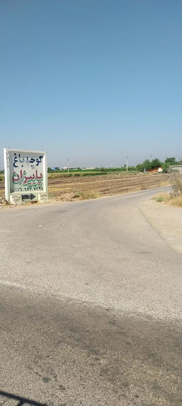 فروش باغچه برقدار ۶۰۰ متری بن جعفر کوچه پاییزان
