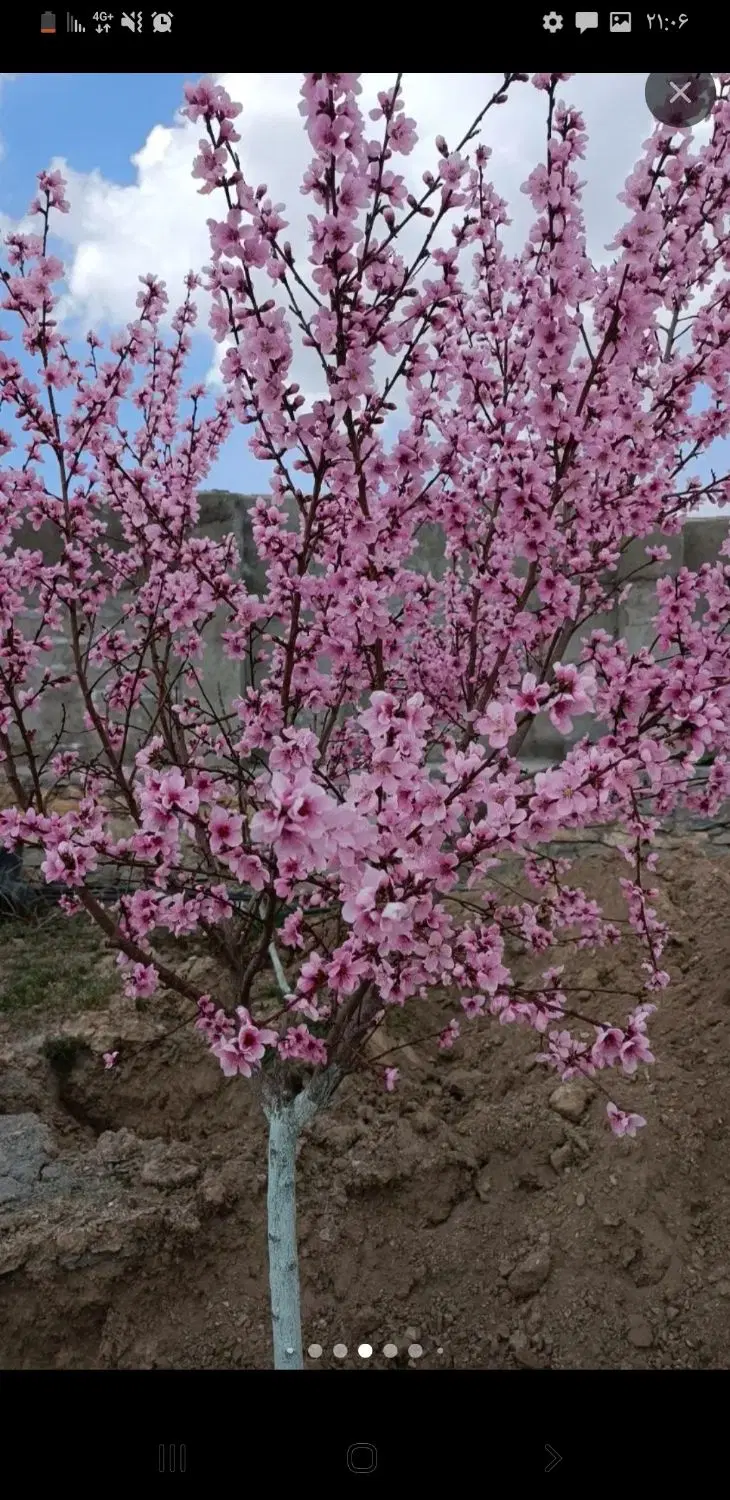 2500متر باغ بالای شهرک صنعتی بهاران