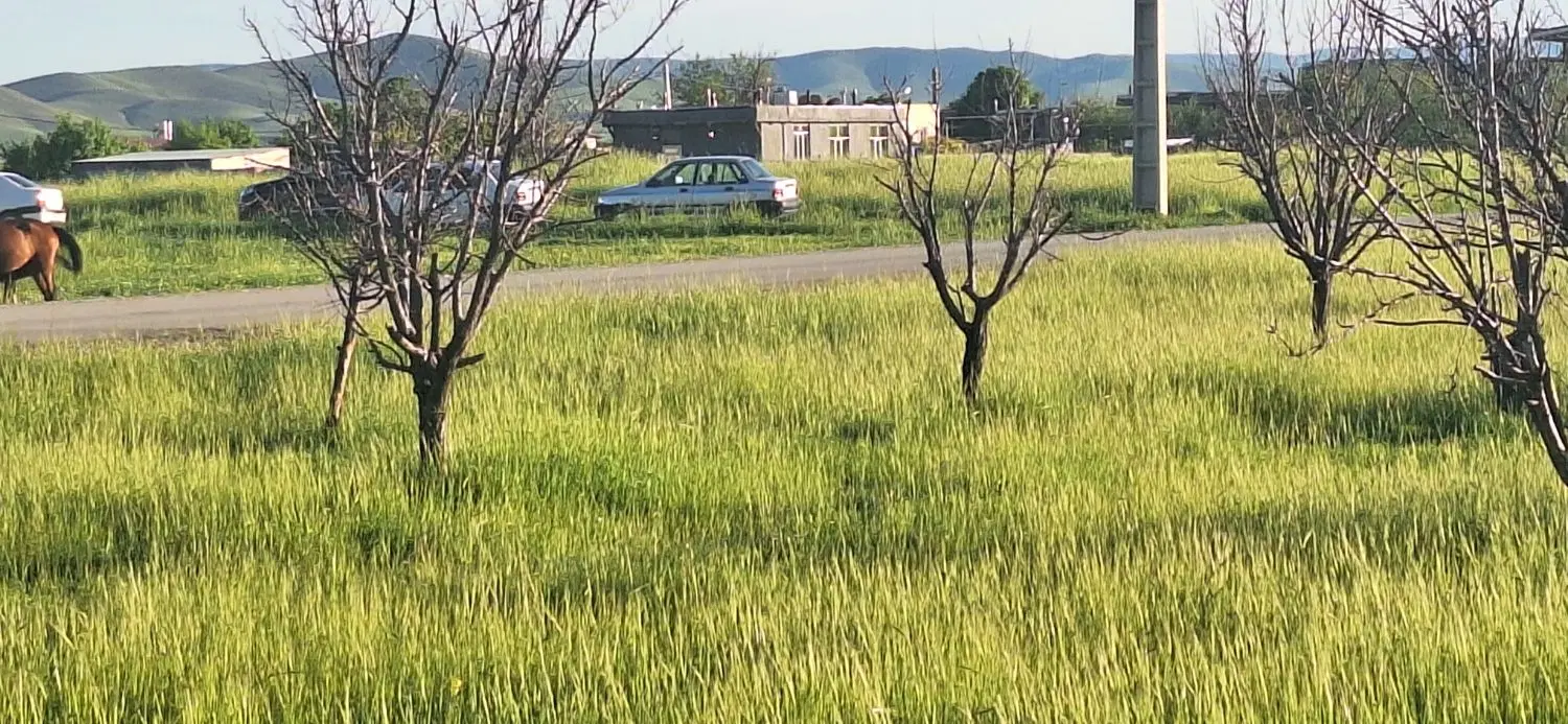 زمین برای باغ وطرح گلخانه