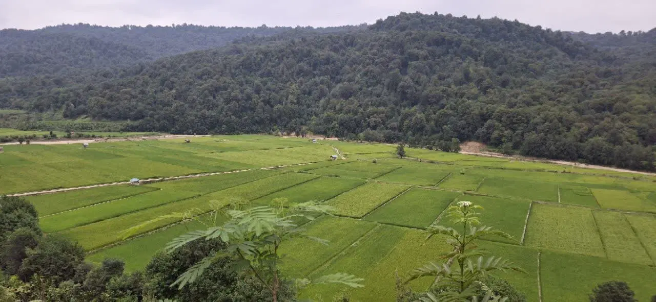 فروش 500مترزمین برای ساخت با سند قطعی در شبکلا