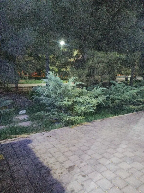 منزل اجاره طبقه پایین