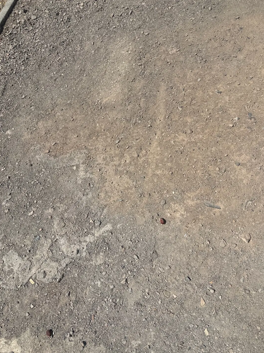 زمین باپروانه ساخت ۷ طبقه