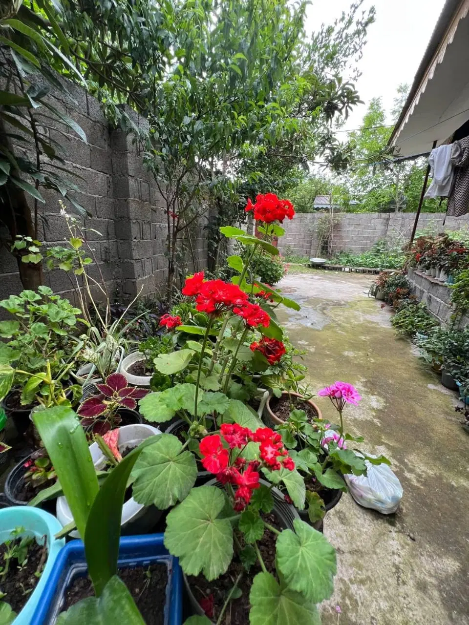 خونه300متری