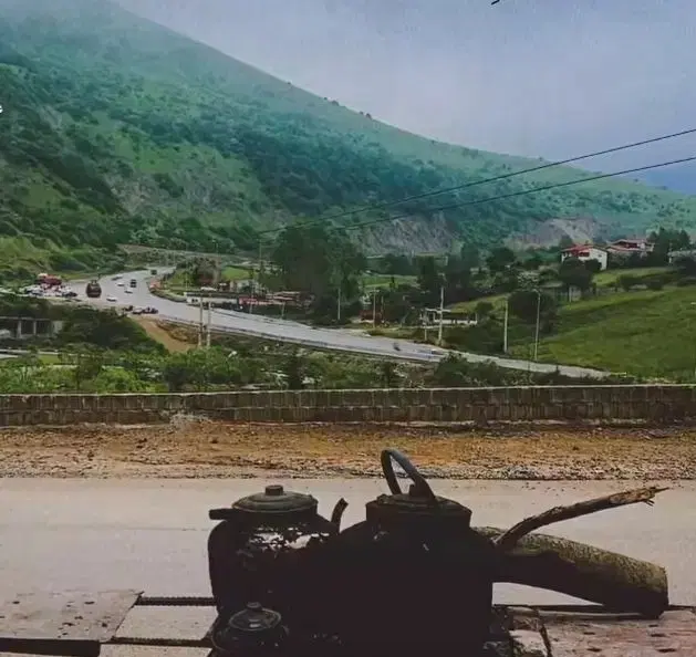 زمین باغی
