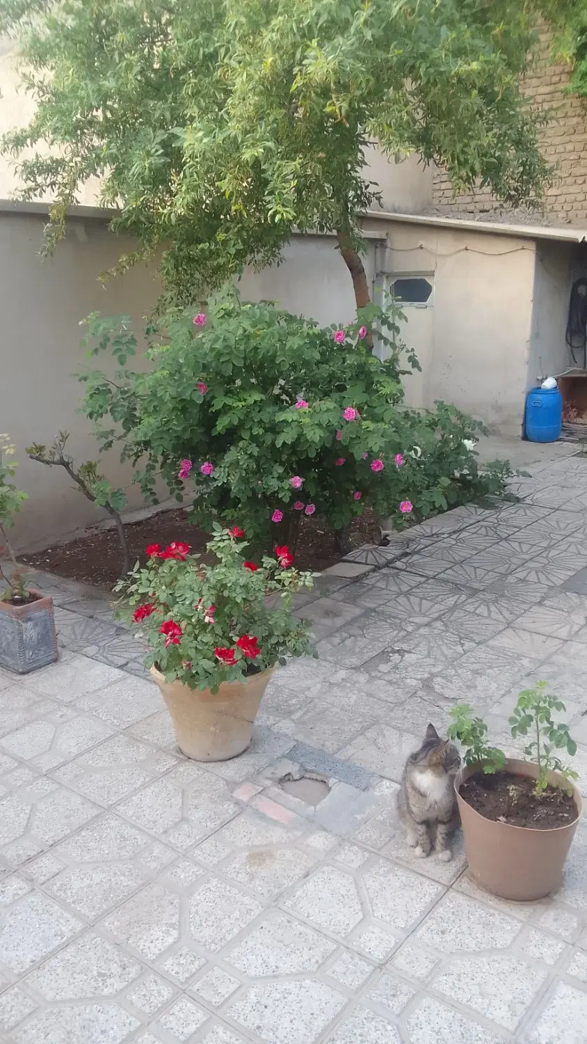 خانه ویلای
