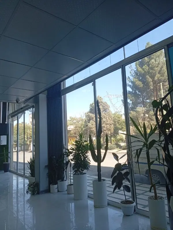 ۸۰۰هکتاراستان قزوین