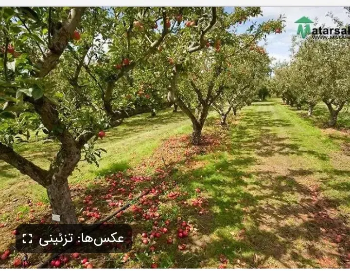 فروش زمین چهار دیواری با بنادربهترین لوکیشن شهریار