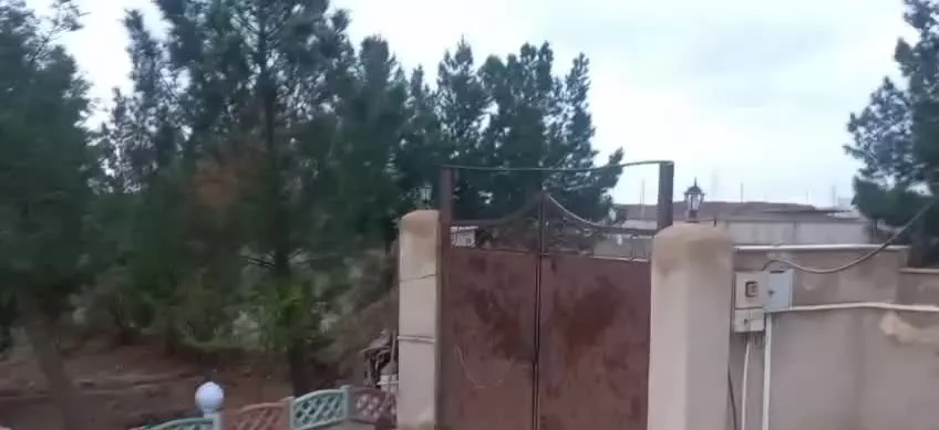گازرسنگ