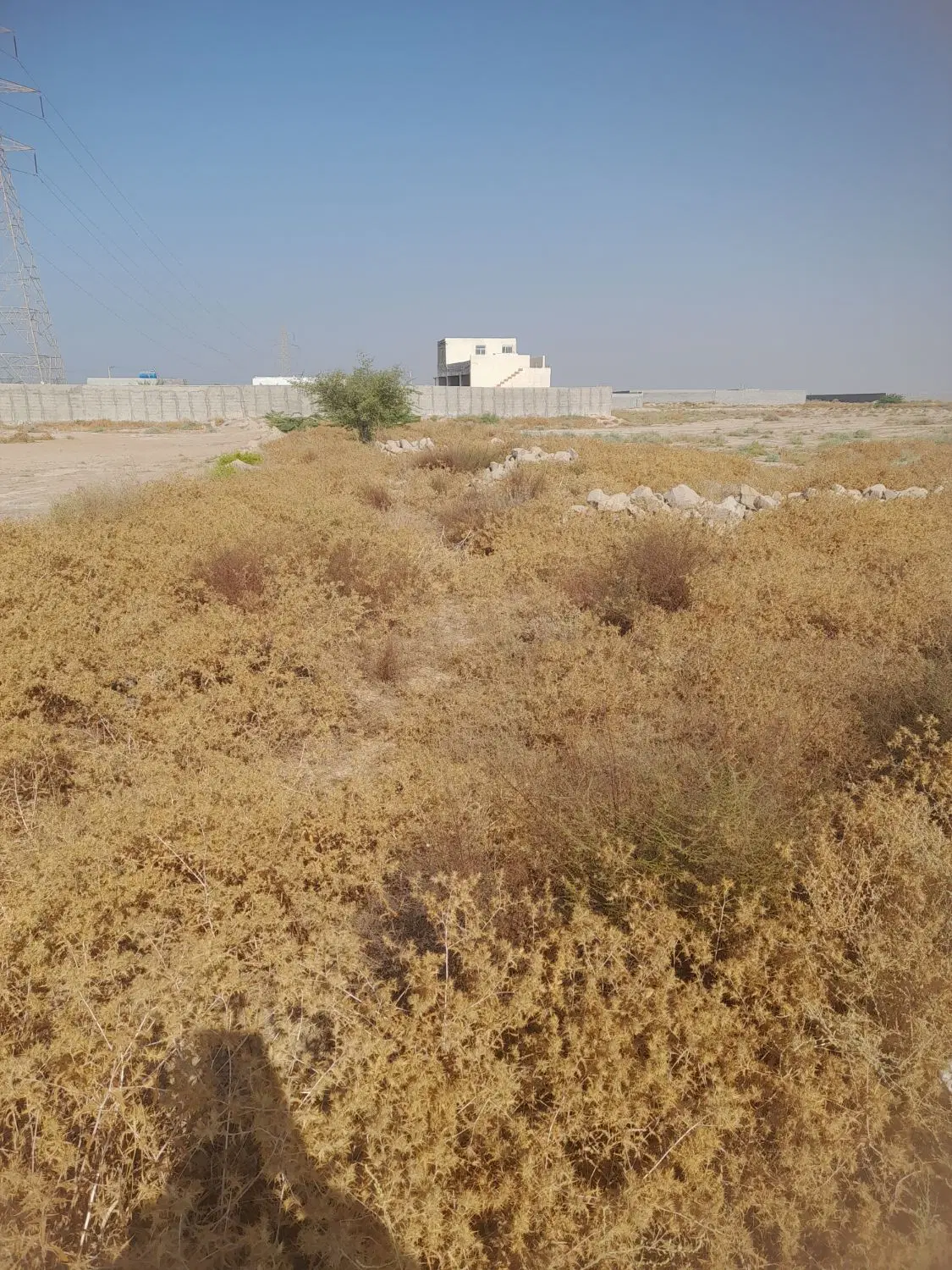 زمین اتوبا .و زمین اردوگاه چهک