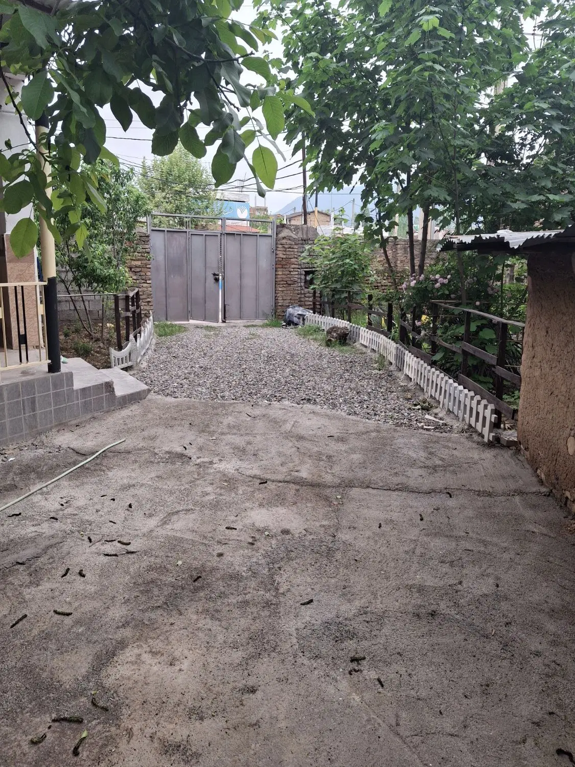 سوئیت  ویلایی حیات دار