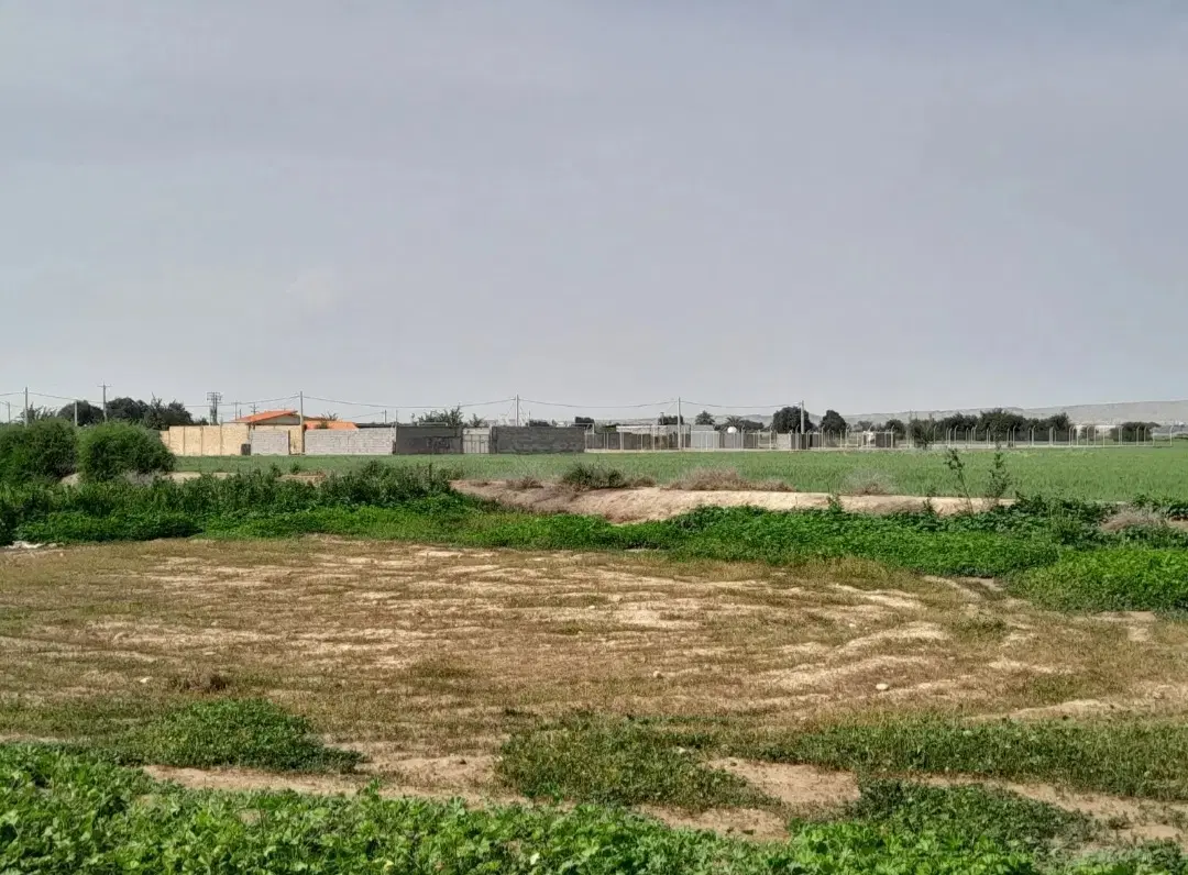 زمین کشاورزی ۳۷۵۰ متر  نزدیک رحمت تجارت