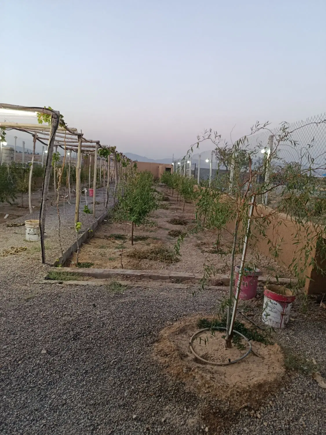 باغ ورنامخواست