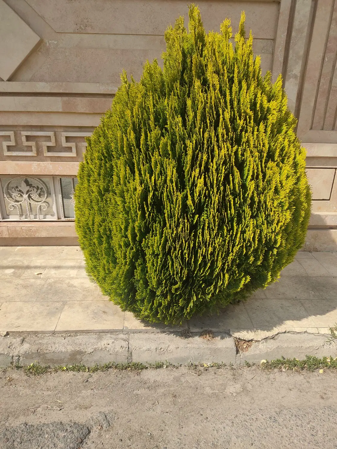 ویلا۸۰۰درترکمان کوی صبا