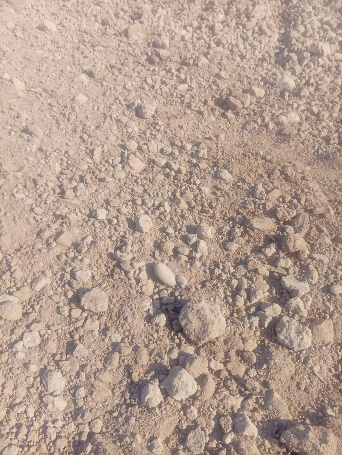 دوهکتار زمین درج یک