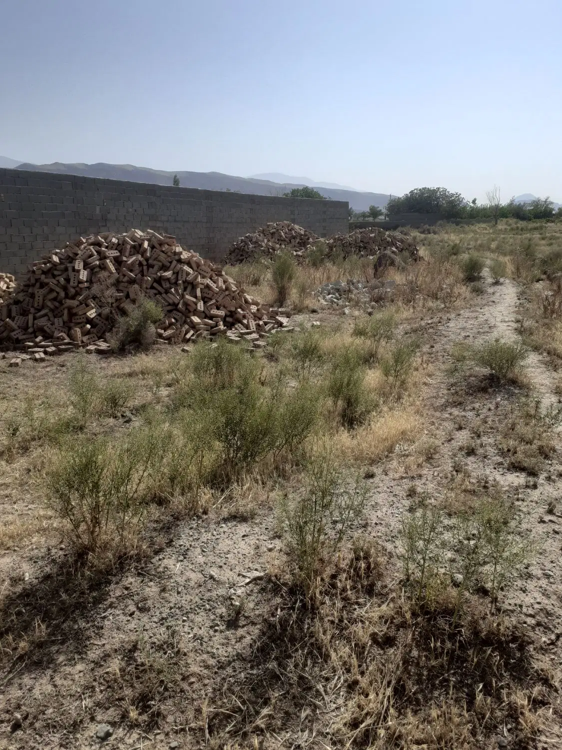 زمین خالی
