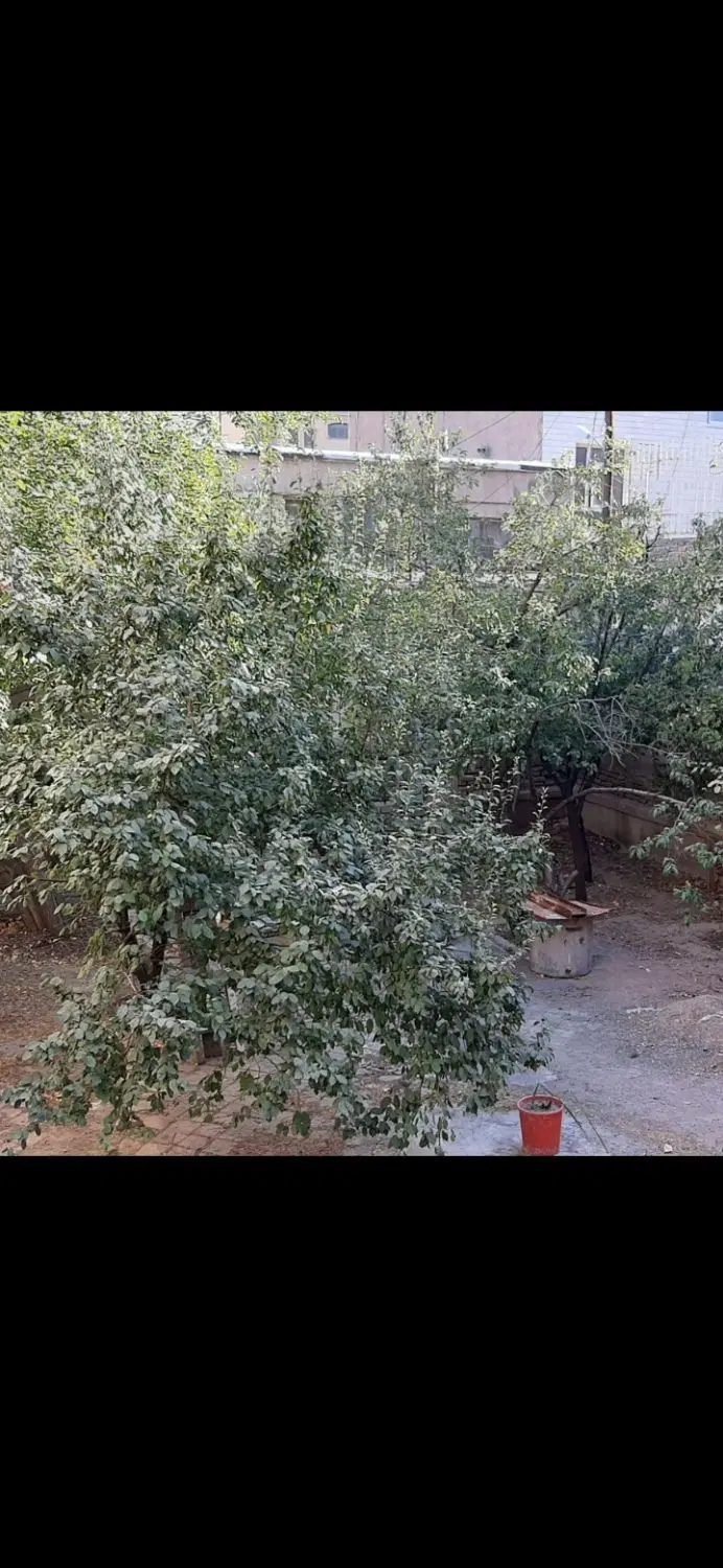 فروش زمین کلنگی