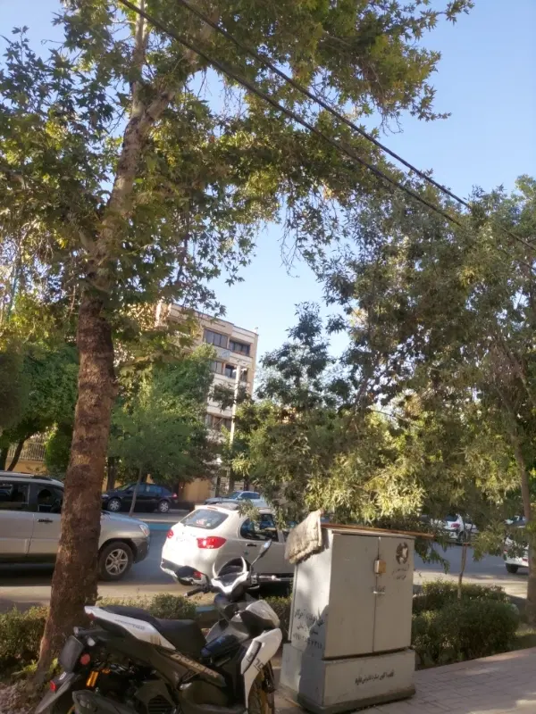 اجاره دفتر کار