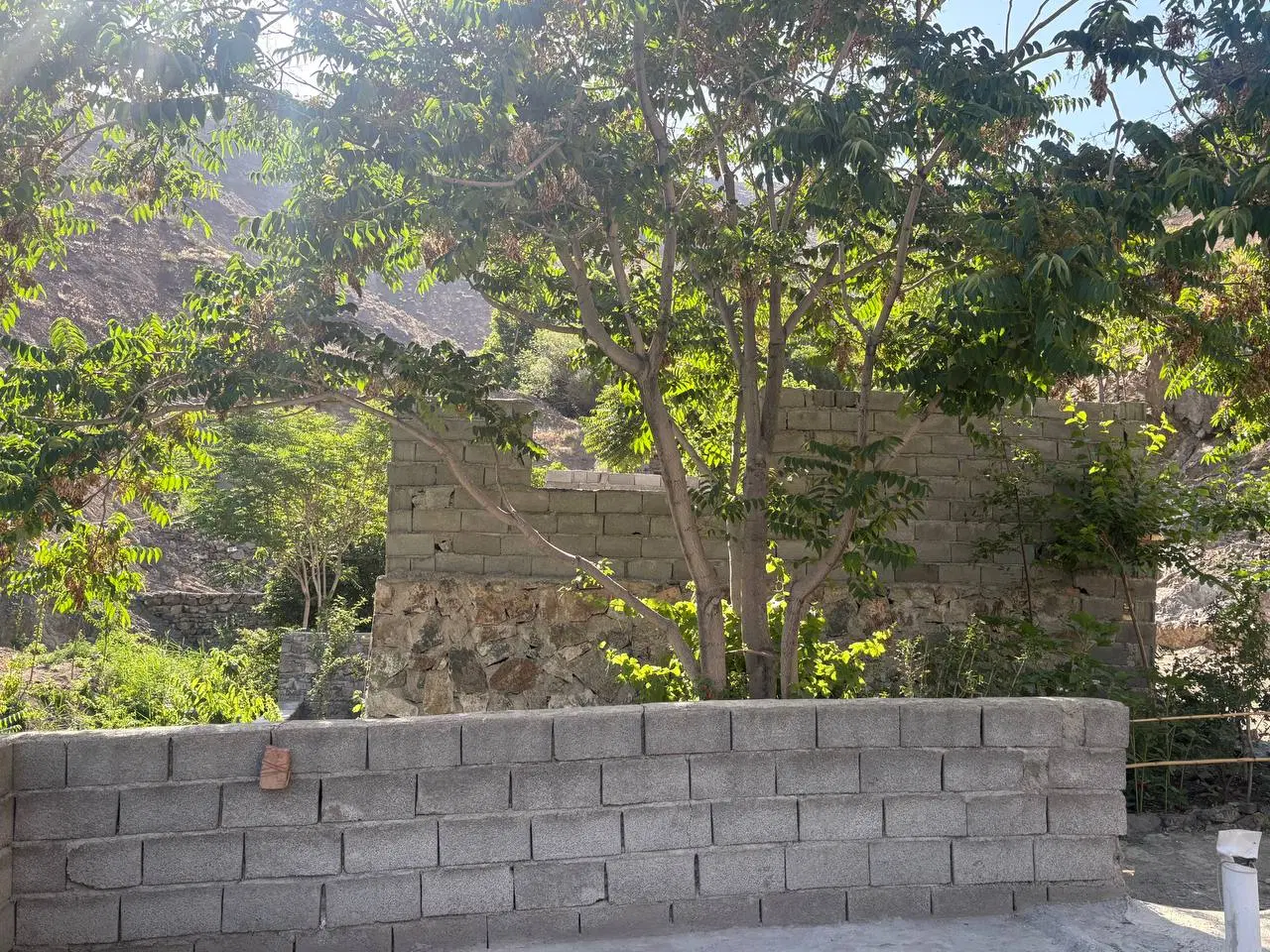 روستای کندور