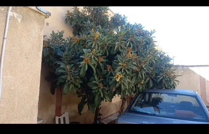 فروش منزل ۶۱۰۰