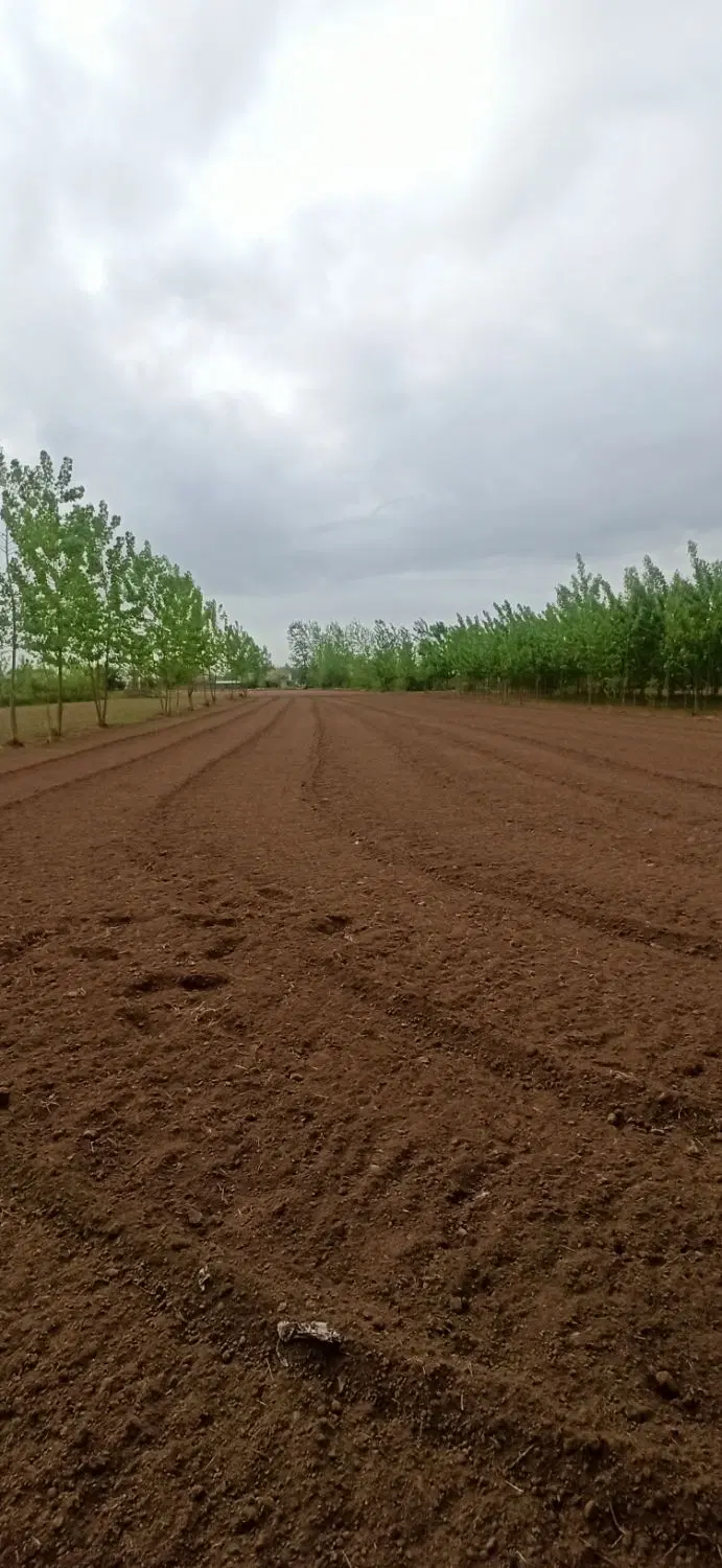 زمینی به مساحت۱۸۱۰ متر در در استخر بیجاراستانه